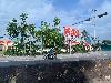 202407_Thanhhoa/20240709-075950-0.JPG 1766KB