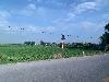202407_Thanhhoa/20240709-080141-0.JPG 1016KB