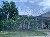 202407_Thanhhoa/20240709-081428-0.JPG 1550KB