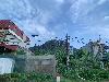 202407_Thanhhoa/20240709-081442-0.JPG 1344KB