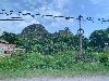 202407_Thanhhoa/20240709-081450-0.JPG 1727KB