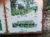 202407_Thanhhoa/20240709-082222-0.JPG 1772KB