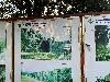 202407_Thanhhoa/20240709-082228-0.JPG 1705KB