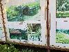 202407_Thanhhoa/20240709-082257-0.JPG 1670KB