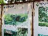 202407_Thanhhoa/20240709-082259-0.JPG 1669KB