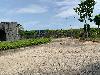 202407_Thanhhoa/20240709-082821-0.JPG 2059KB