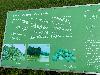 202407_Thanhhoa/20240709-083013-0.JPG 1356KB