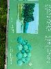 202407_Thanhhoa/20240709-083116-0.JPG 1326KB