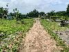 202407_Thanhhoa/20240709-083248-0.JPG 2558KB