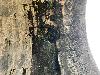 202407_Thanhhoa/20240709-083308-0.JPG 1704KB