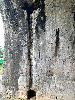 202407_Thanhhoa/20240709-083325-0.JPG 2493KB