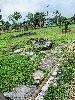 202407_Thanhhoa/20240709-084548-0.JPG 3103KB