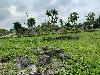 202407_Thanhhoa/20240709-084559-0.JPG 2729KB