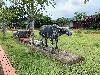 202407_Thanhhoa/20240709-084839-0.JPG 2782KB