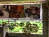 202407_Thanhhoa/20240709-085145-0.JPG 1796KB