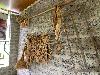 202407_Thanhhoa/20240709-085157-0.JPG 1999KB