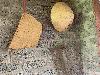 202407_Thanhhoa/20240709-085204-0.JPG 1876KB