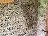 202407_Thanhhoa/20240709-085206-0.JPG 2395KB