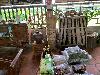 202407_Thanhhoa/20240709-085231-0.JPG 1659KB