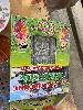 202407_Thanhhoa/20240709-085453-0.JPG 1445KB