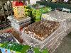 202407_Thanhhoa/20240709-085855-0.JPG 1312KB