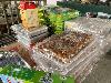 202407_Thanhhoa/20240709-085855-1.JPG 1258KB