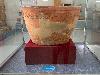 202407_Thanhhoa/20240709-090929-0.JPG 1072KB