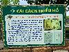 202407_Thanhhoa/20240709-092922-0.JPG 1640KB