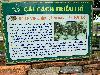 202407_Thanhhoa/20240709-092951-0.JPG 1706KB
