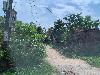 202407_Thanhhoa/20240709-095054-0.JPG 1556KB