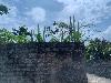 202407_Thanhhoa/20240709-095219-0.JPG 1459KB