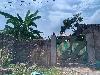 202407_Thanhhoa/20240709-095245-0.JPG 1694KB