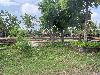 202407_Thanhhoa/20240709-095506-0.JPG 2319KB
