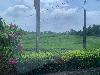 202407_Thanhhoa/20240709-095553-0.JPG 1251KB
