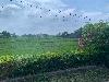 202407_Thanhhoa/20240709-095556-0.JPG 1354KB