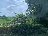 202407_Thanhhoa/20240709-095603-0.JPG 1619KB