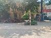 202407_Thanhhoa/20240709-100225-0.JPG 1113KB