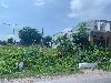 202407_Thanhhoa/20240709-100348-0.JPG 1663KB