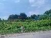 202407_Thanhhoa/20240709-100358-0.JPG 1497KB