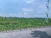 202407_Thanhhoa/20240709-100409-0.JPG 1139KB