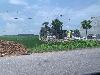 202407_Thanhhoa/20240709-100418-0.JPG 1328KB