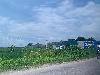 202407_Thanhhoa/20240709-100424-0.JPG 1110KB