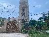 202407_Thanhhoa/20240709-100554-0.JPG 1645KB
