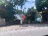 202407_Thanhhoa/20240709-100715-0.JPG 1619KB