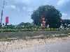 202407_Thanhhoa/20240709-101605-0.JPG 1488KB