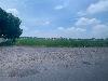202407_Thanhhoa/20240709-101711-0.JPG 1064KB
