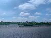 202407_Thanhhoa/20240709-101756-0.JPG 833KB