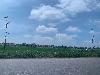 202407_Thanhhoa/20240709-101806-0.JPG 906KB