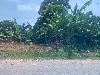 202407_Thanhhoa/20240709-102828-0.JPG 1464KB