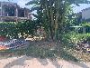202407_Thanhhoa/20240709-102842-0.JPG 1728KB